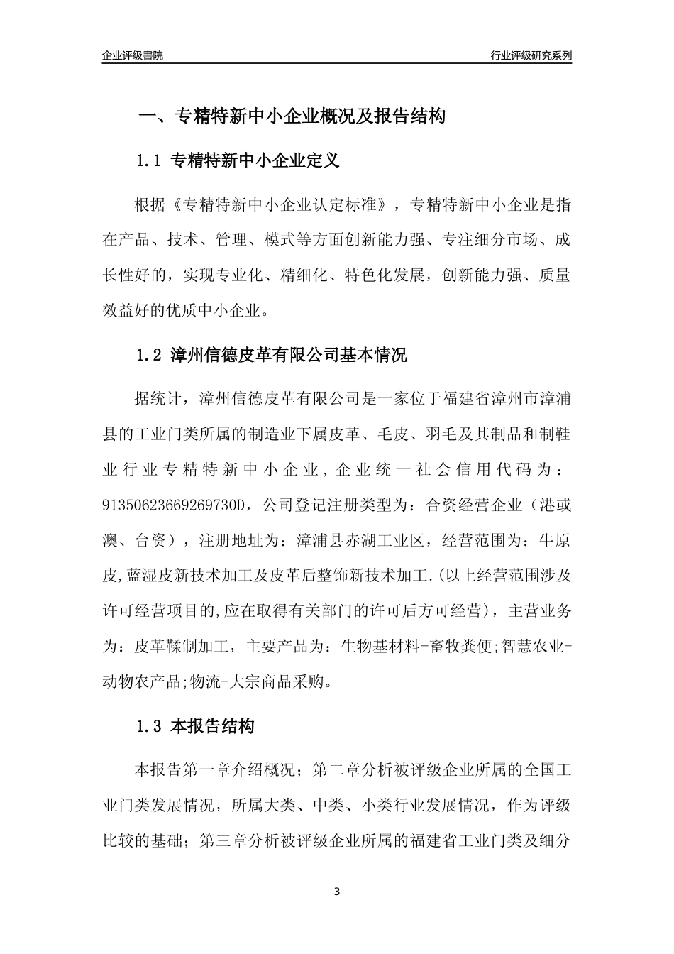 [专精特新]漳州信德皮革有限公司行业竞争力评级分析报告(2023版)_第3页