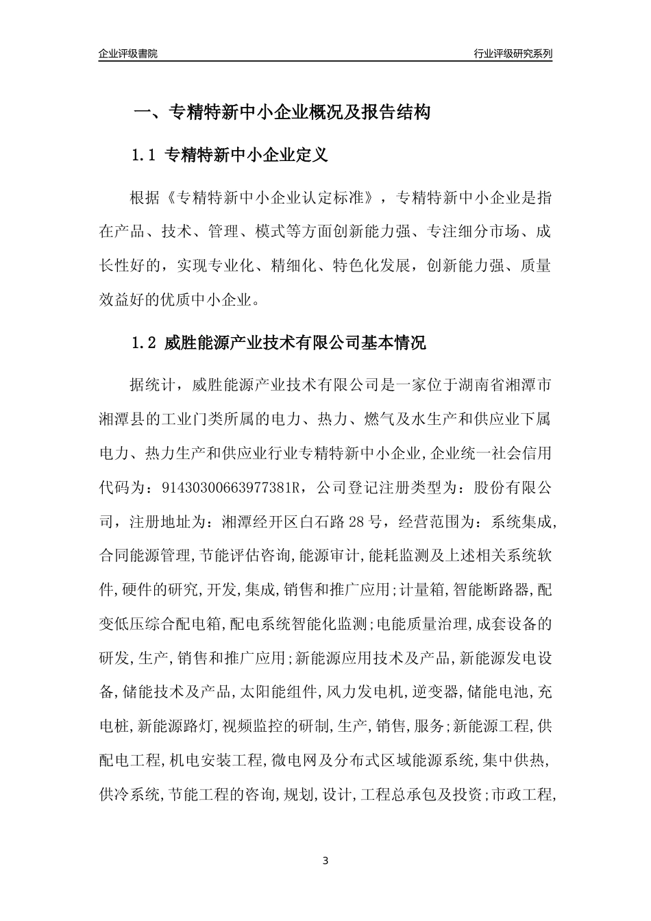 [专精特新]威胜能源产业技术有限公司行业竞争力评级分析报告(2023版)_第3页