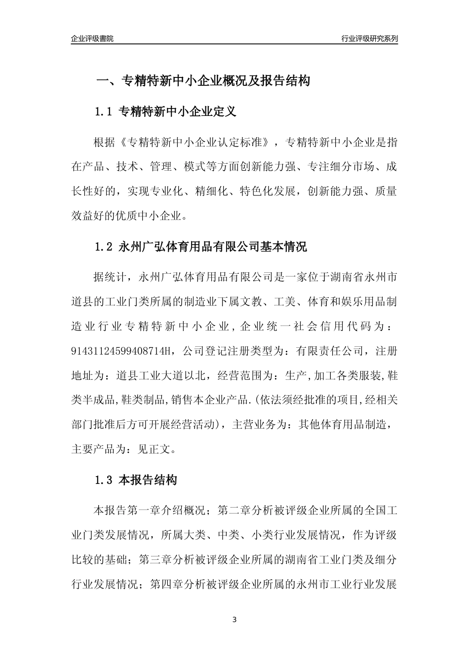 [专精特新]永州广弘体育用品有限公司行业竞争力评级分析报告(2023版)_第3页