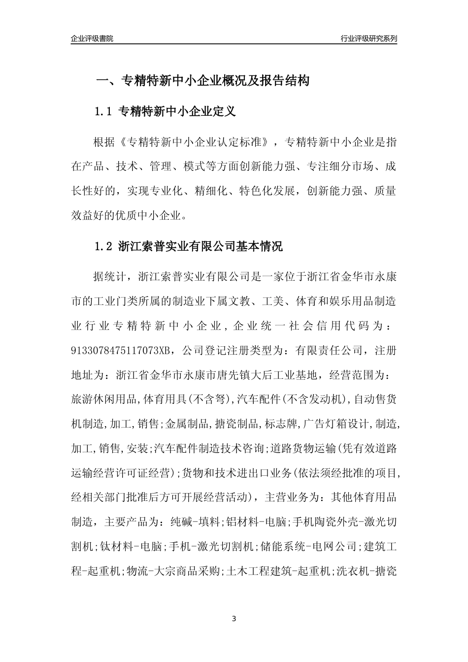 [专精特新]浙江索普实业有限公司行业竞争力评级分析报告(2023版)_第3页