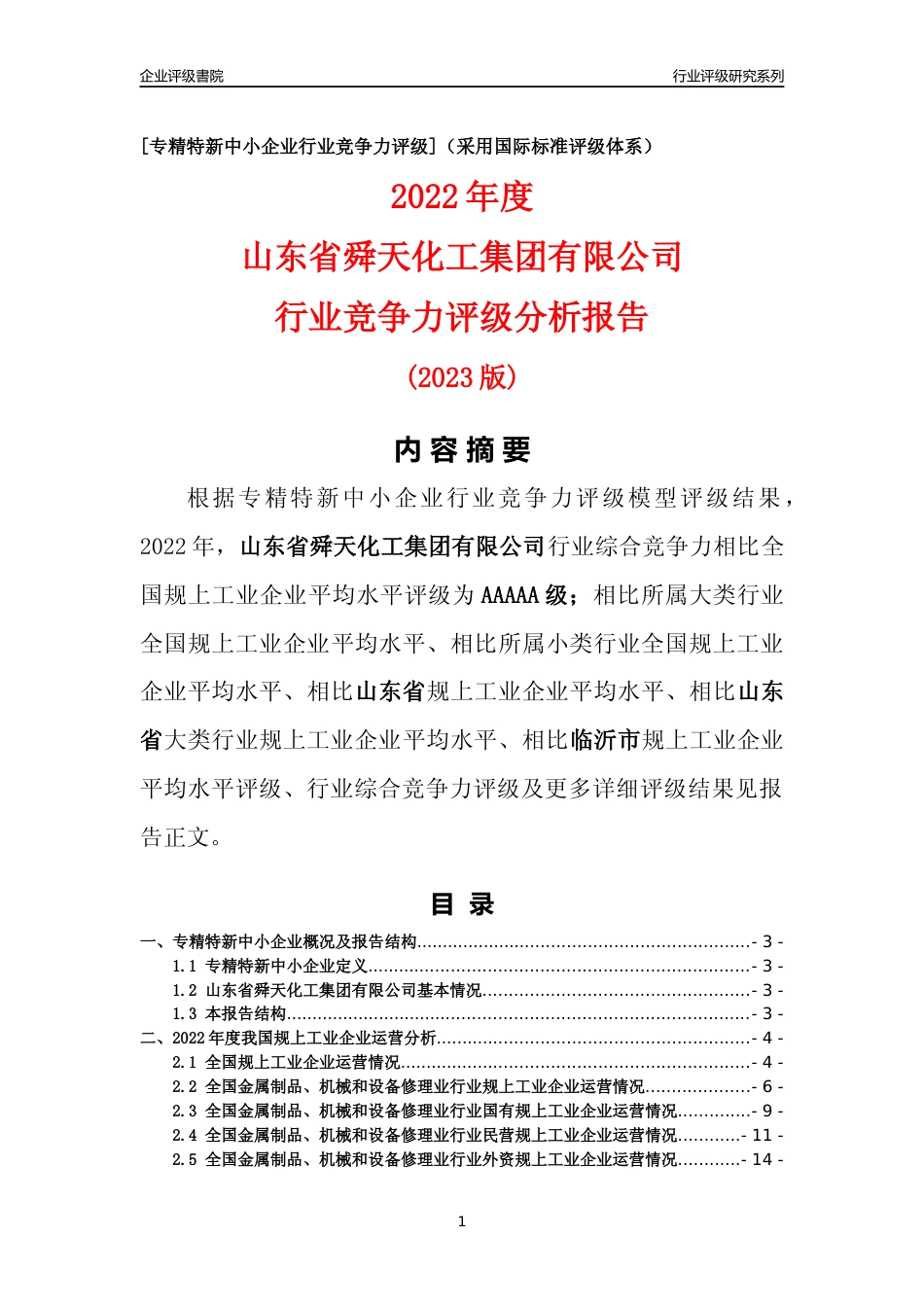 [专精特新]山东省舜天化工集团有限公司行业竞争力评级分析报告(2023版)_第1页