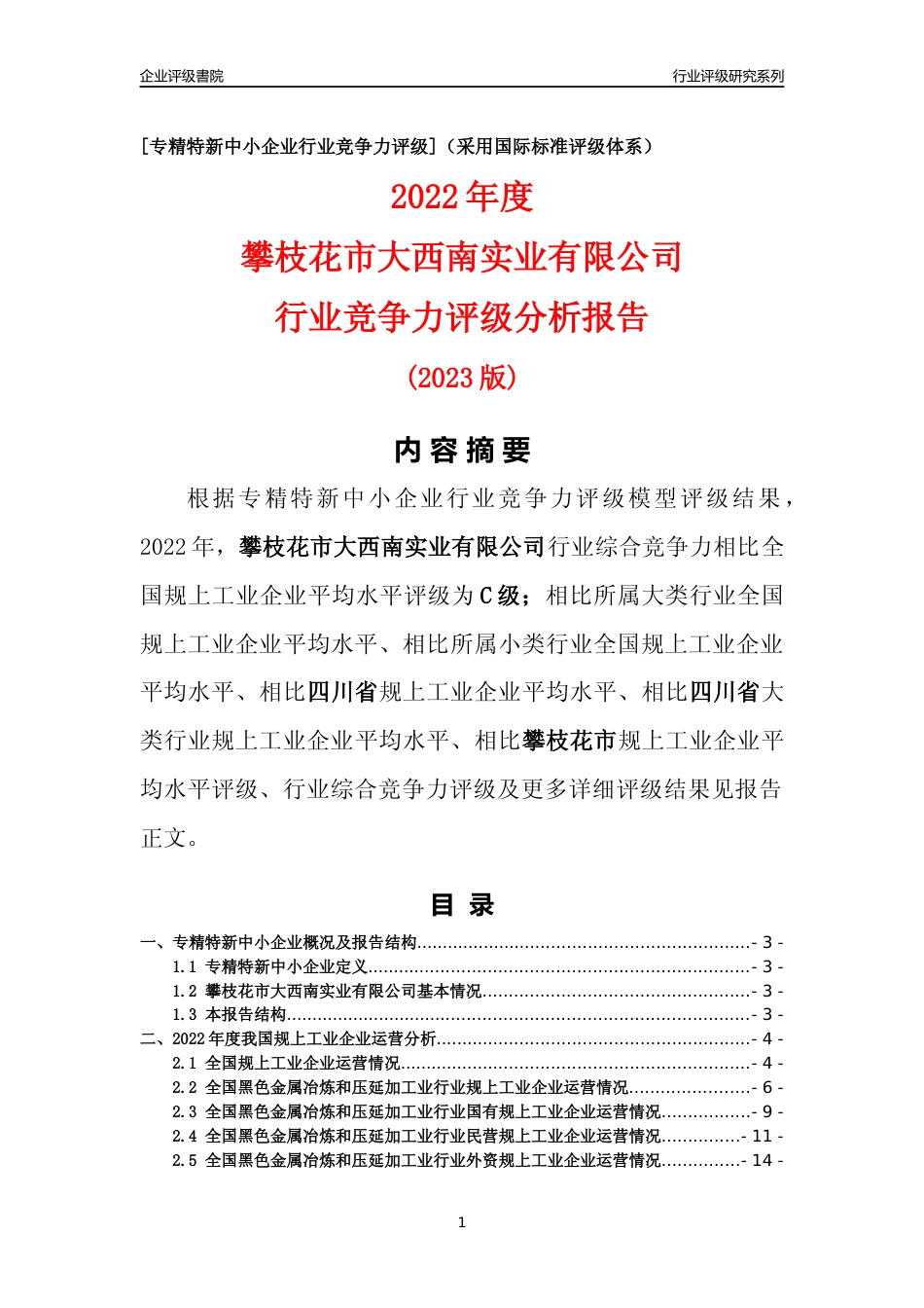 [专精特新]攀枝花市大西南实业有限公司行业竞争力评级分析报告(2023版)_第1页
