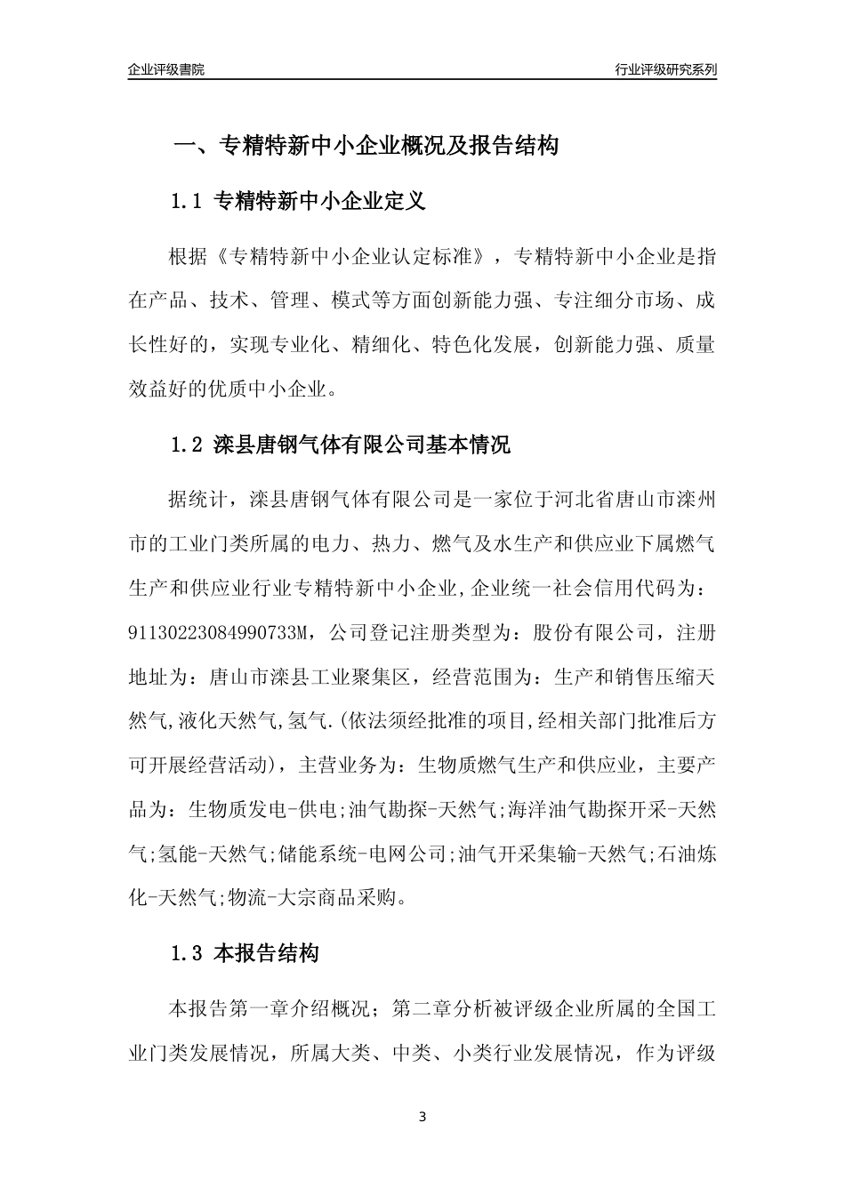 [专精特新]滦县唐钢气体有限公司行业竞争力评级分析报告(2023版)_第3页