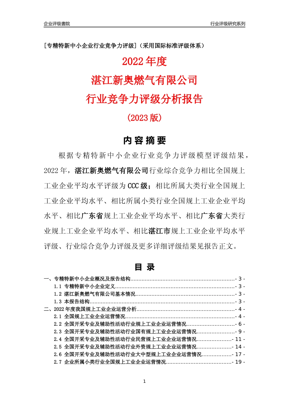[专精特新]湛江新奥燃气有限公司行业竞争力评级分析报告(2023版)_第1页