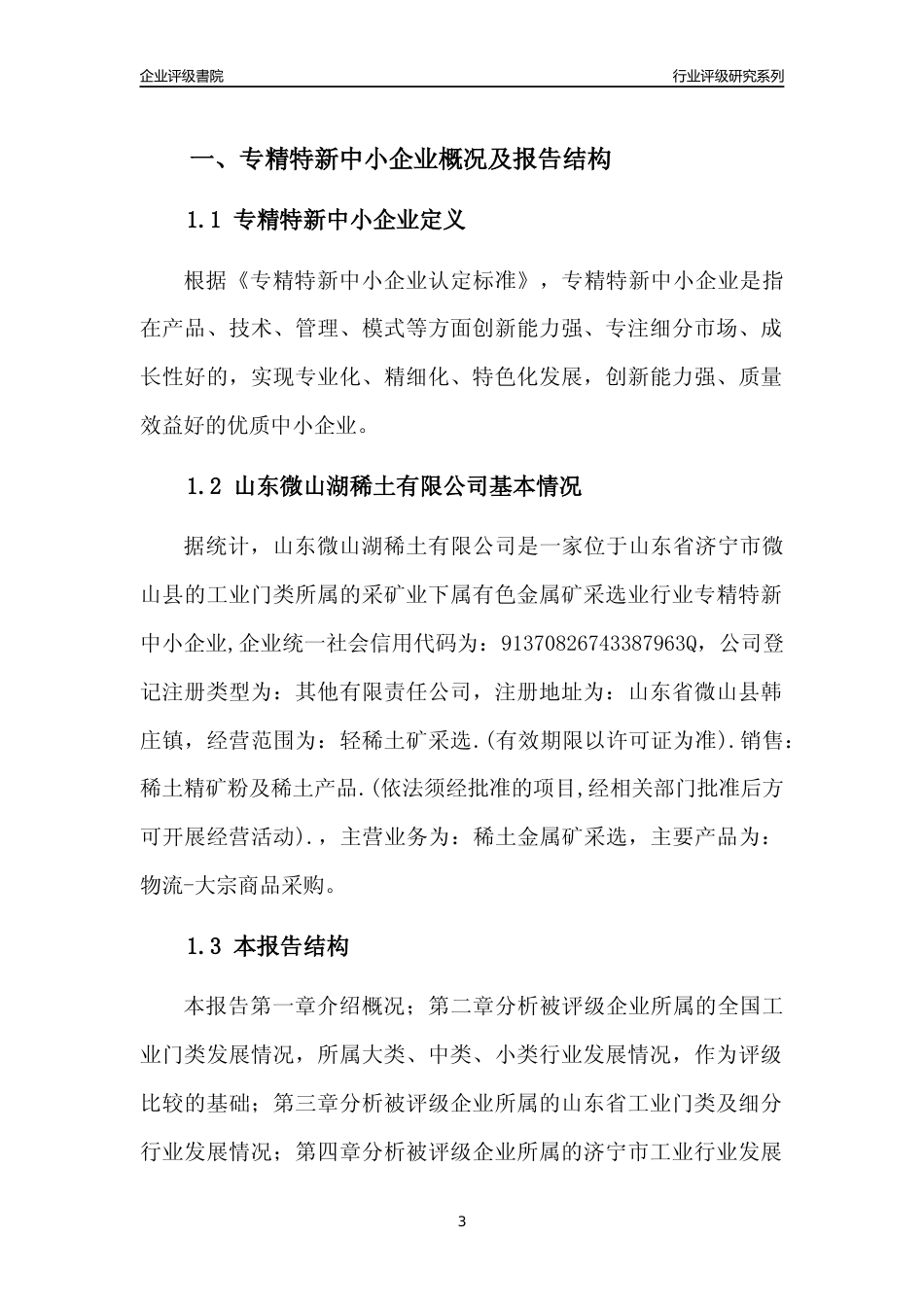 [专精特新]山东微山湖稀土有限公司行业竞争力评级分析报告(2023版)_第3页