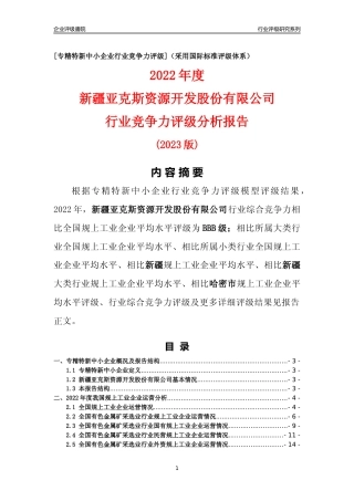 [专精特新]新疆亚克斯资源开发股份有限公司行业竞争力评级分析报告(2023版)