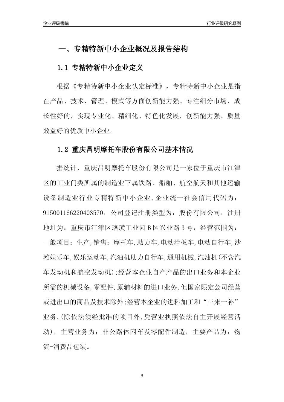 [专精特新]重庆昌明摩托车股份有限公司行业竞争力评级分析报告(2023版)_第3页
