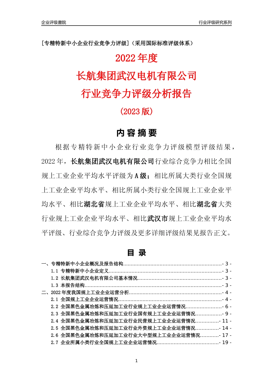 [专精特新]长航集团武汉电机有限公司行业竞争力评级分析报告(2023版)_第1页