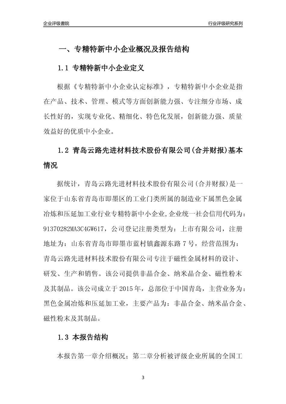 [专精特新]青岛云路先进材料技术股份有限公司(合并财报)行业竞争力评级分析报告(2023版)_第3页