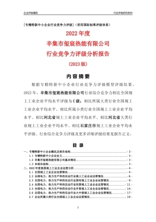 [专精特新]辛集市玺宸热能有限公司行业竞争力评级分析报告(2023版)