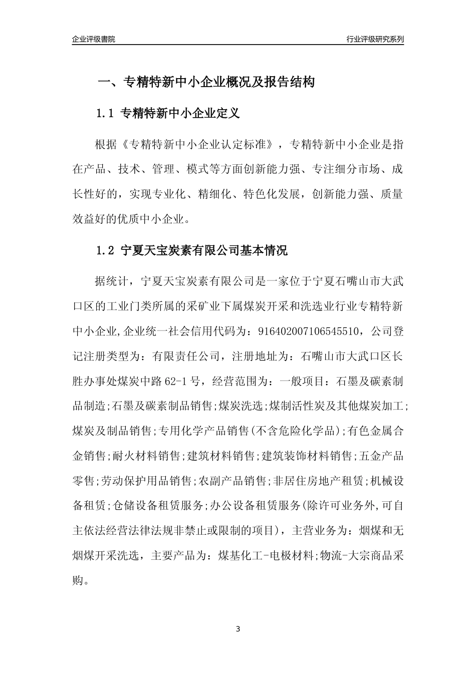 [专精特新]宁夏天宝炭素有限公司行业竞争力评级分析报告(2023版)_第3页