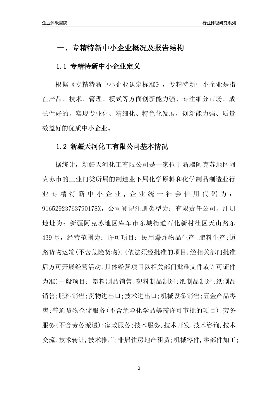 [专精特新]新疆天河化工有限公司行业竞争力评级分析报告(2023版)_第3页