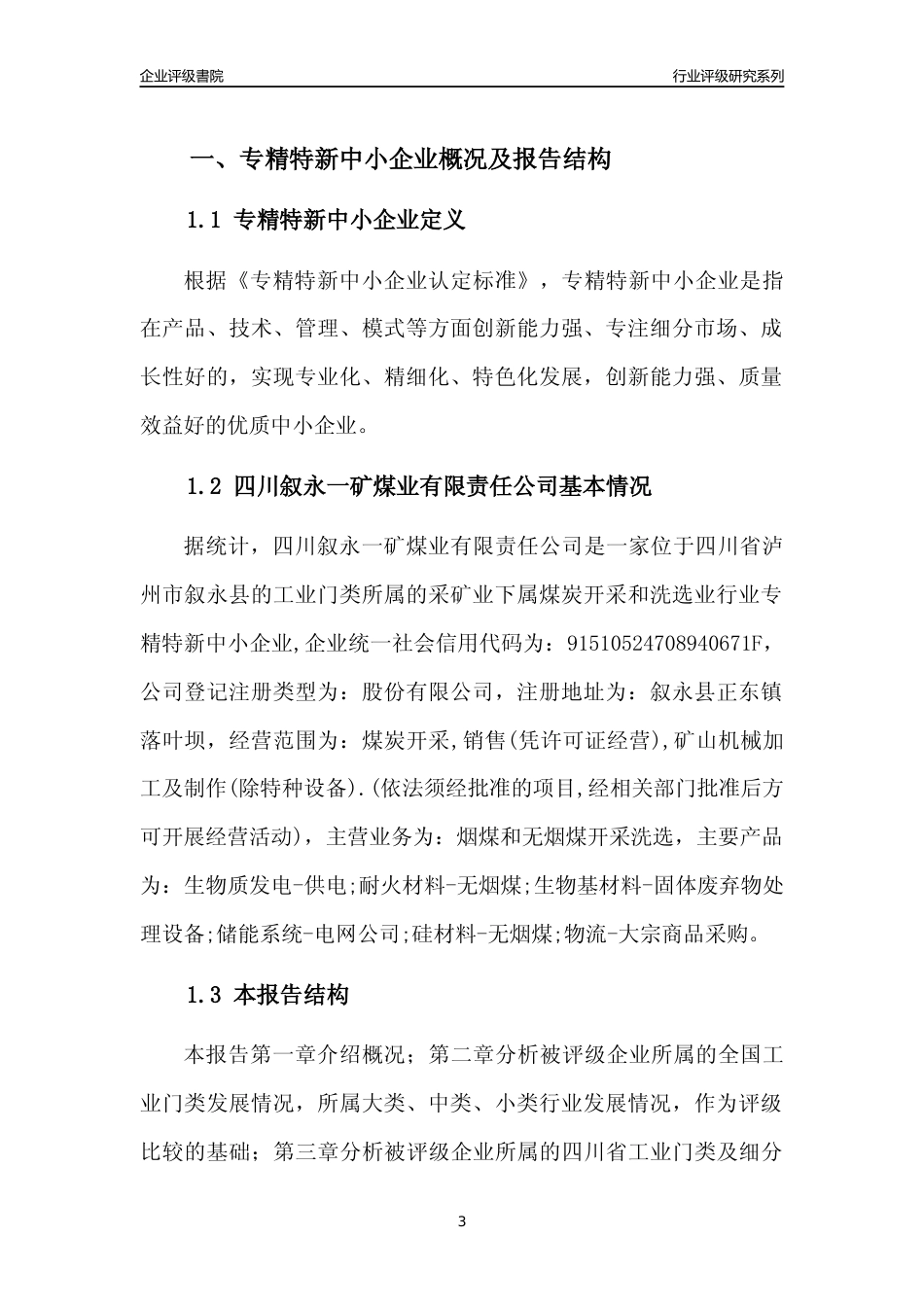 [专精特新]四川叙永一矿煤业有限责任公司行业竞争力评级分析报告(2023版)_第3页