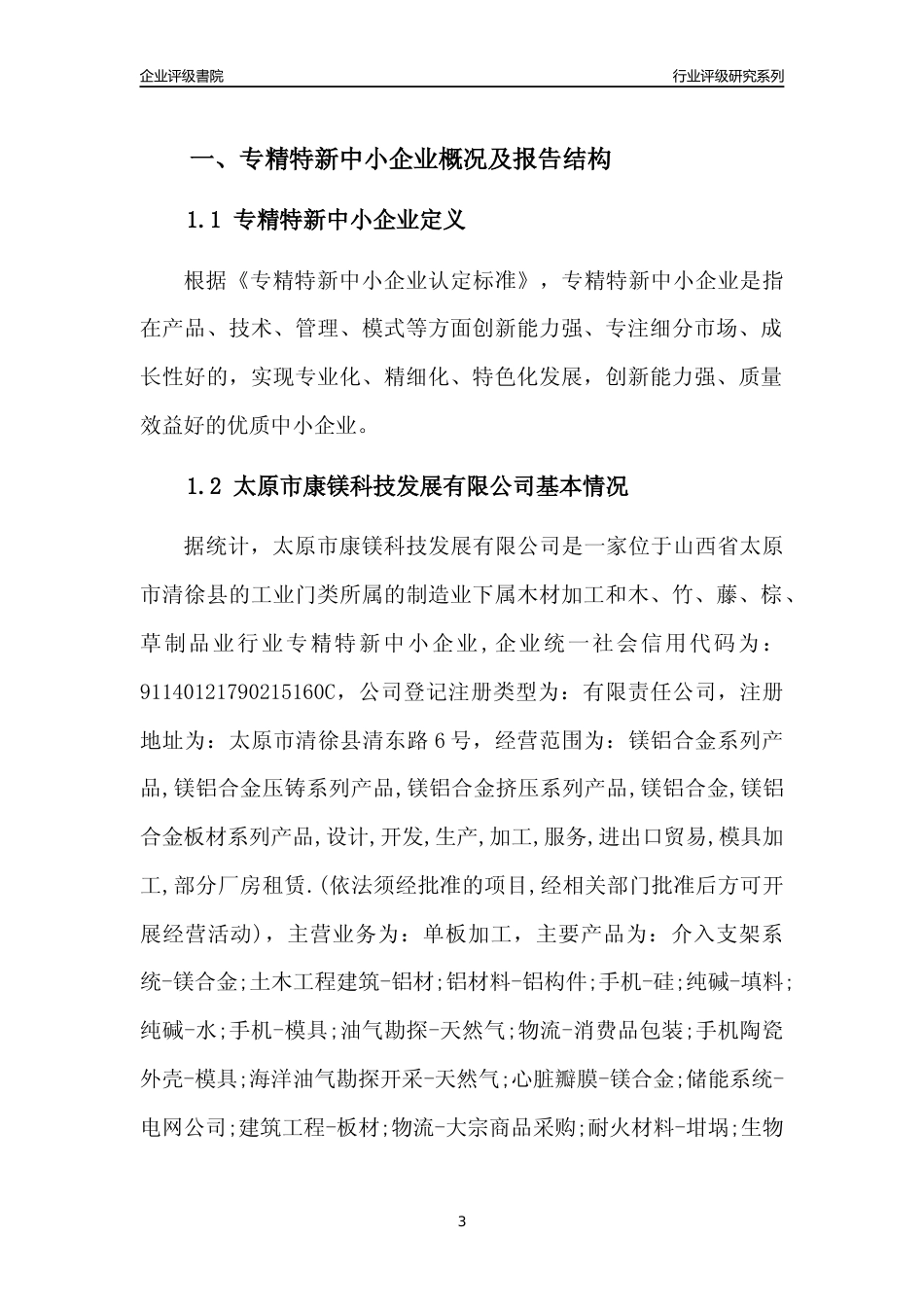 [专精特新]太原市康镁科技发展有限公司行业竞争力评级分析报告(2023版)_第3页