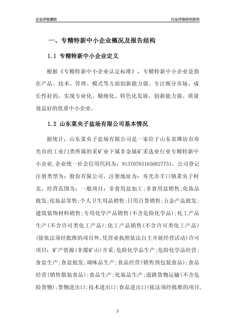 [专精特新]山东菜央子盐场有限公司行业竞争力评级分析报告(2023版)_第3页