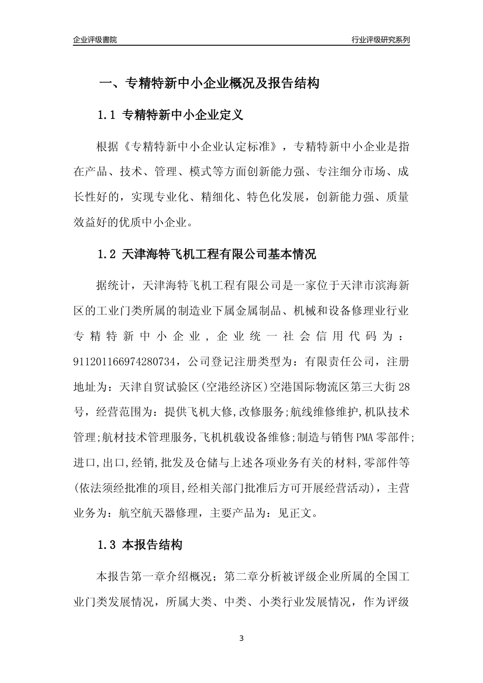 [专精特新]天津海特飞机工程有限公司行业竞争力评级分析报告(2023版)_第3页