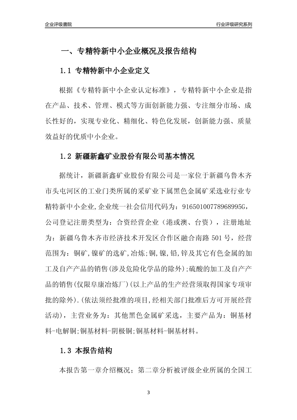 [专精特新]新疆新鑫矿业股份有限公司行业竞争力评级分析报告(2023版)_第3页