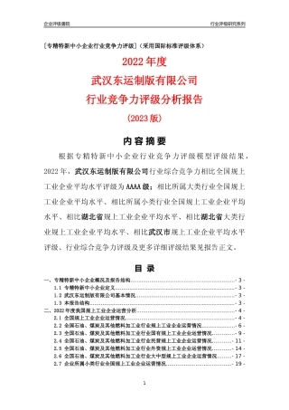 [专精特新]武汉东运制版有限公司行业竞争力评级分析报告(2023版)