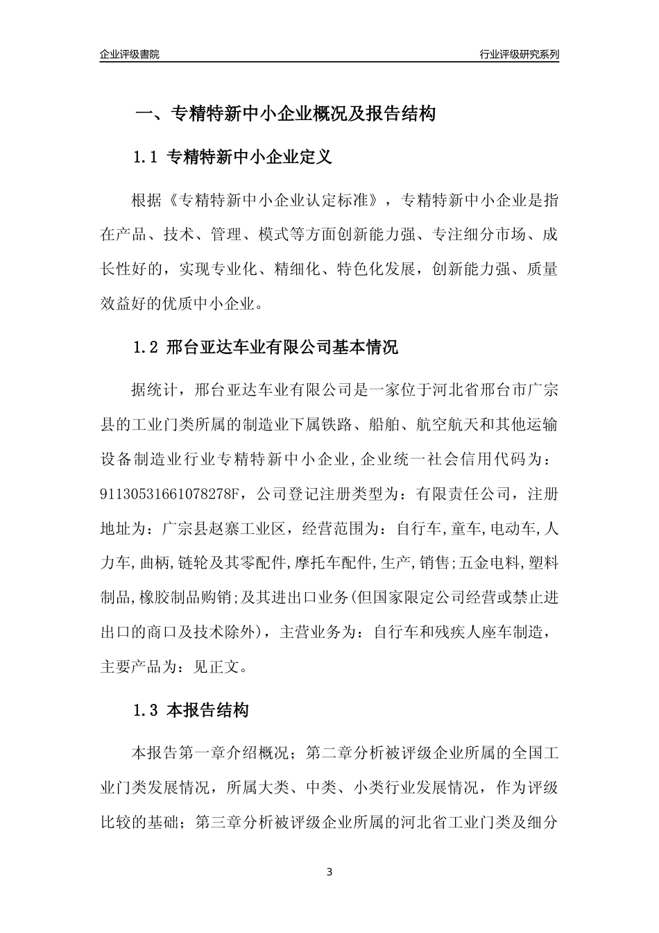 [专精特新]邢台亚达车业有限公司行业竞争力评级分析报告(2023版)_第3页