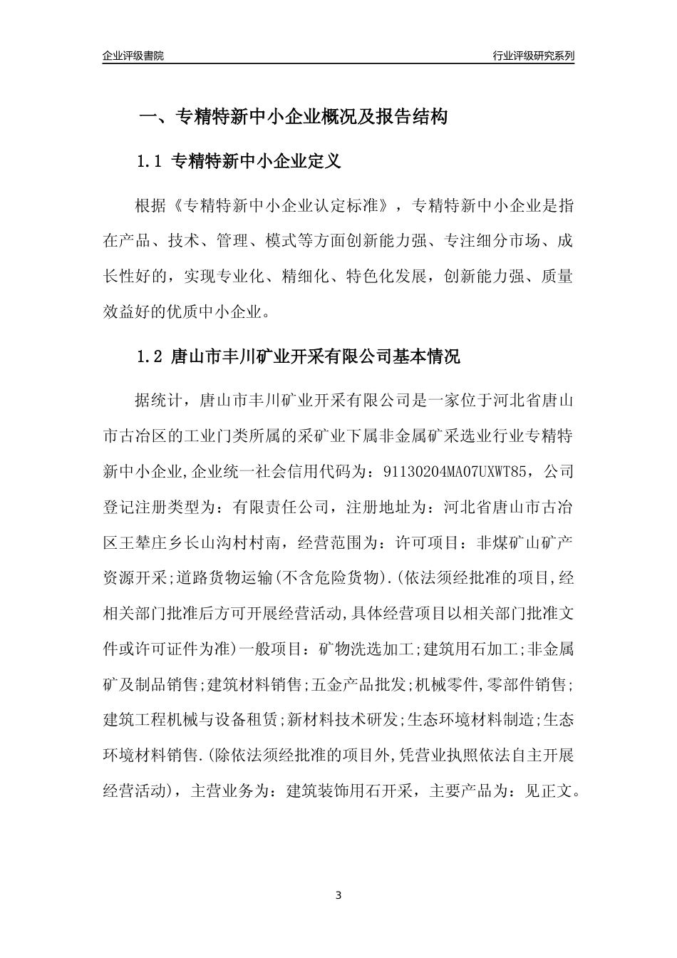 [专精特新]唐山市丰川矿业开采有限公司行业竞争力评级分析报告(2023版)_第3页