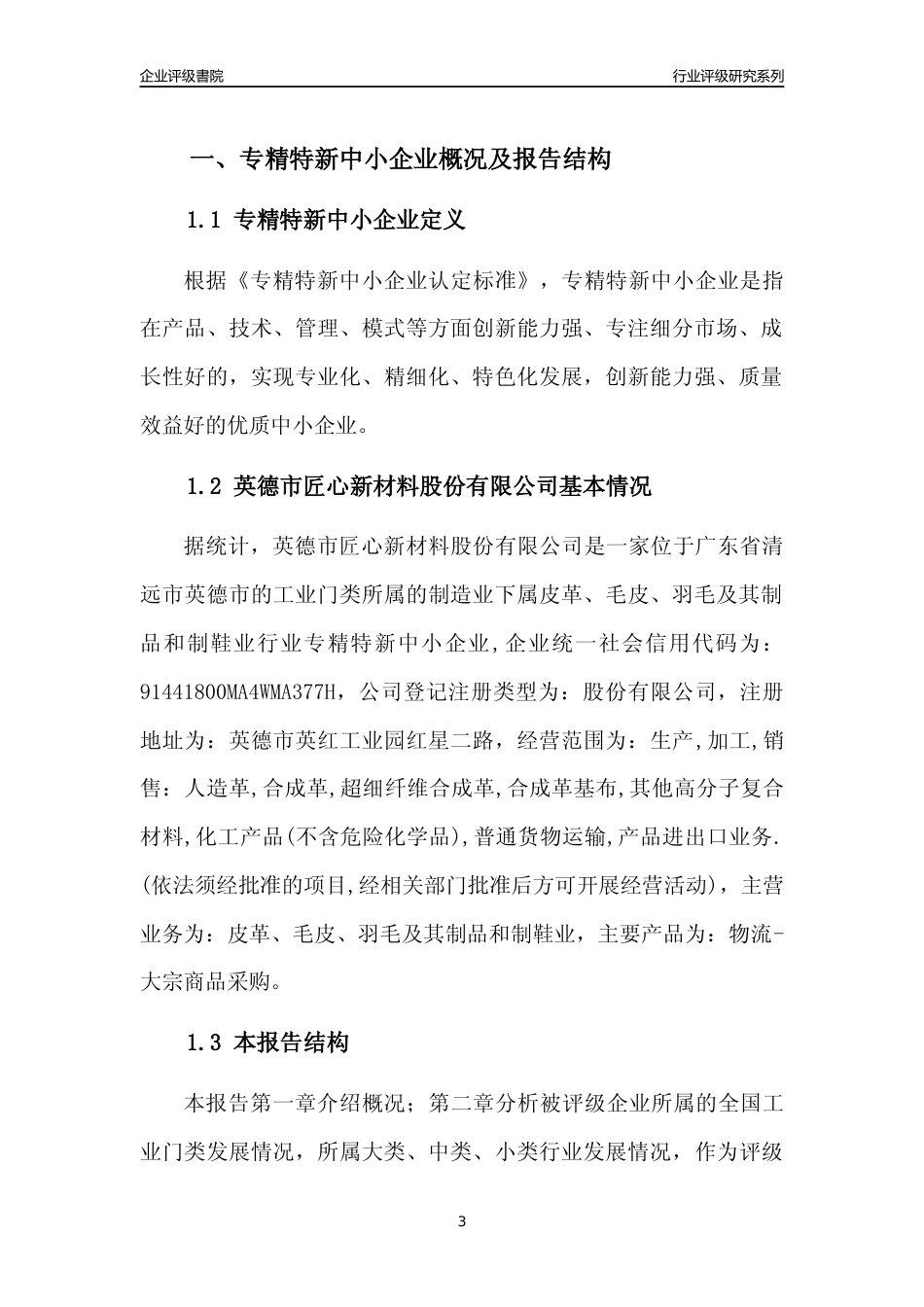 [专精特新]英德市匠心新材料股份有限公司行业竞争力评级分析报告(2023版)_第3页