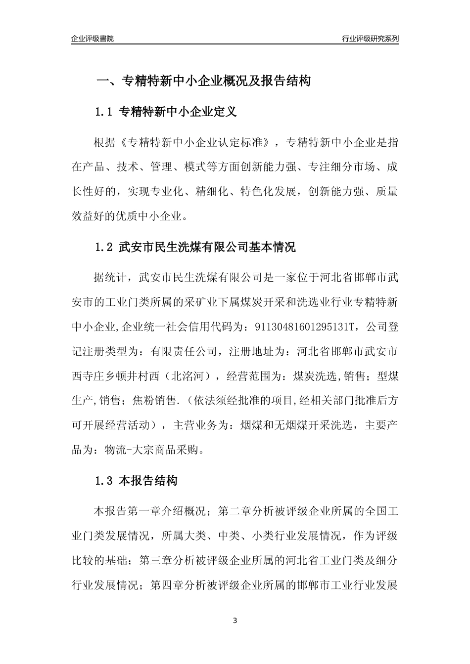 [专精特新]武安市民生洗煤有限公司行业竞争力评级分析报告(2023版)_第3页