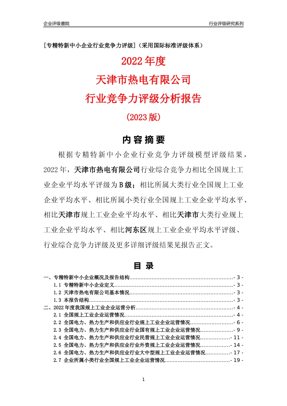 [专精特新]天津市热电有限公司行业竞争力评级分析报告(2023版)_第1页