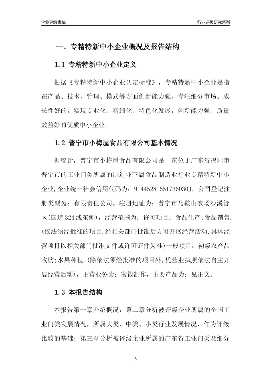 [专精特新]普宁市小梅屋食品有限公司行业竞争力评级分析报告(2023版)_第3页