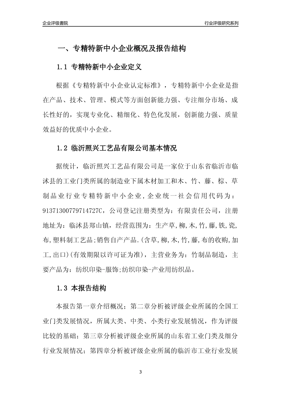 [专精特新]临沂照兴工艺品有限公司行业竞争力评级分析报告(2023版)_第3页