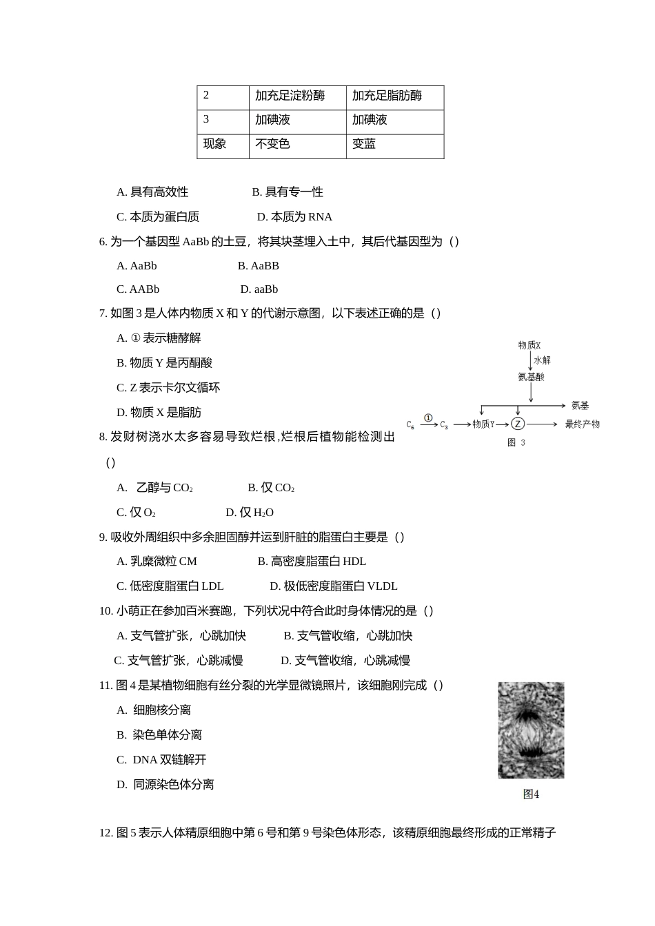 [高考真题]2018年上海市高中毕业统一学业考试生物试卷答案_第2页