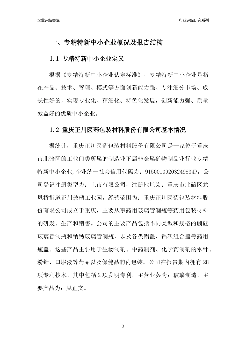 [专精特新]重庆正川医药包装材料股份有限公司行业竞争力评级分析报告(2023版)_第3页