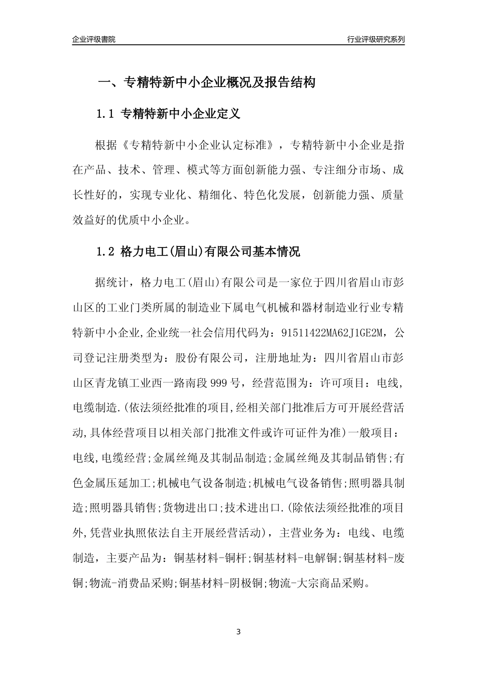 [专精特新]格力电工(眉山)有限公司行业竞争力评级分析报告(2023版)_第3页