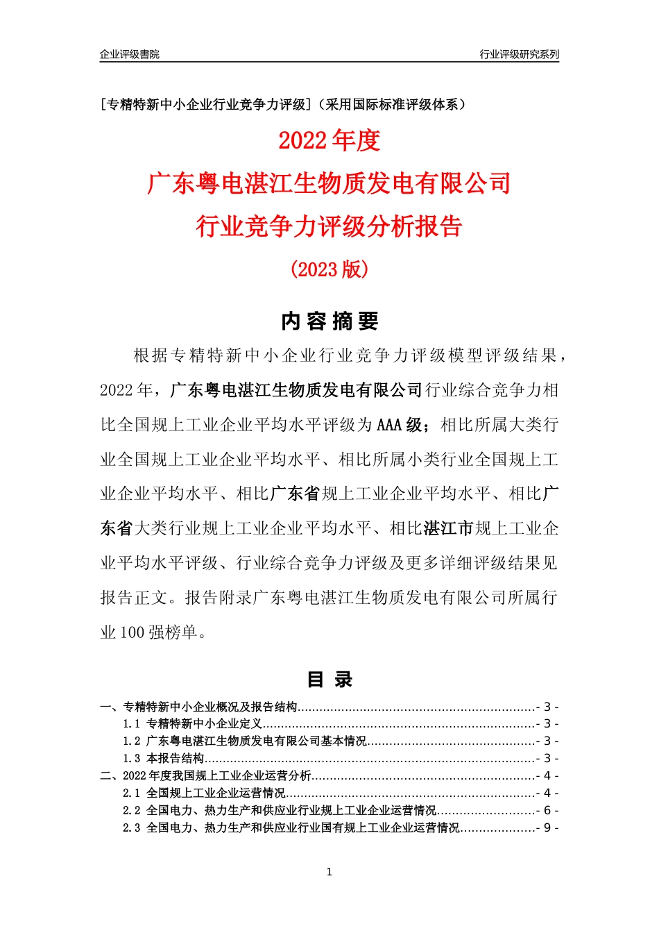 [专精特新]广东粤电湛江生物质发电有限公司行业竞争力评级分析报告(2023版)_第1页