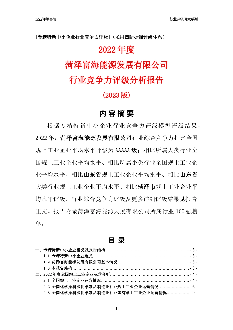 [专精特新]菏泽富海能源发展有限公司行业竞争力评级分析报告(2023版)_第1页