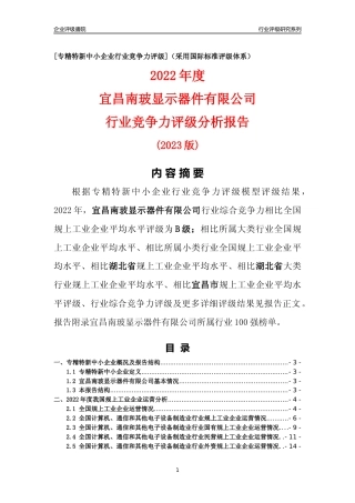 [专精特新]宜昌南玻显示器件有限公司行业竞争力评级分析报告(2023版)