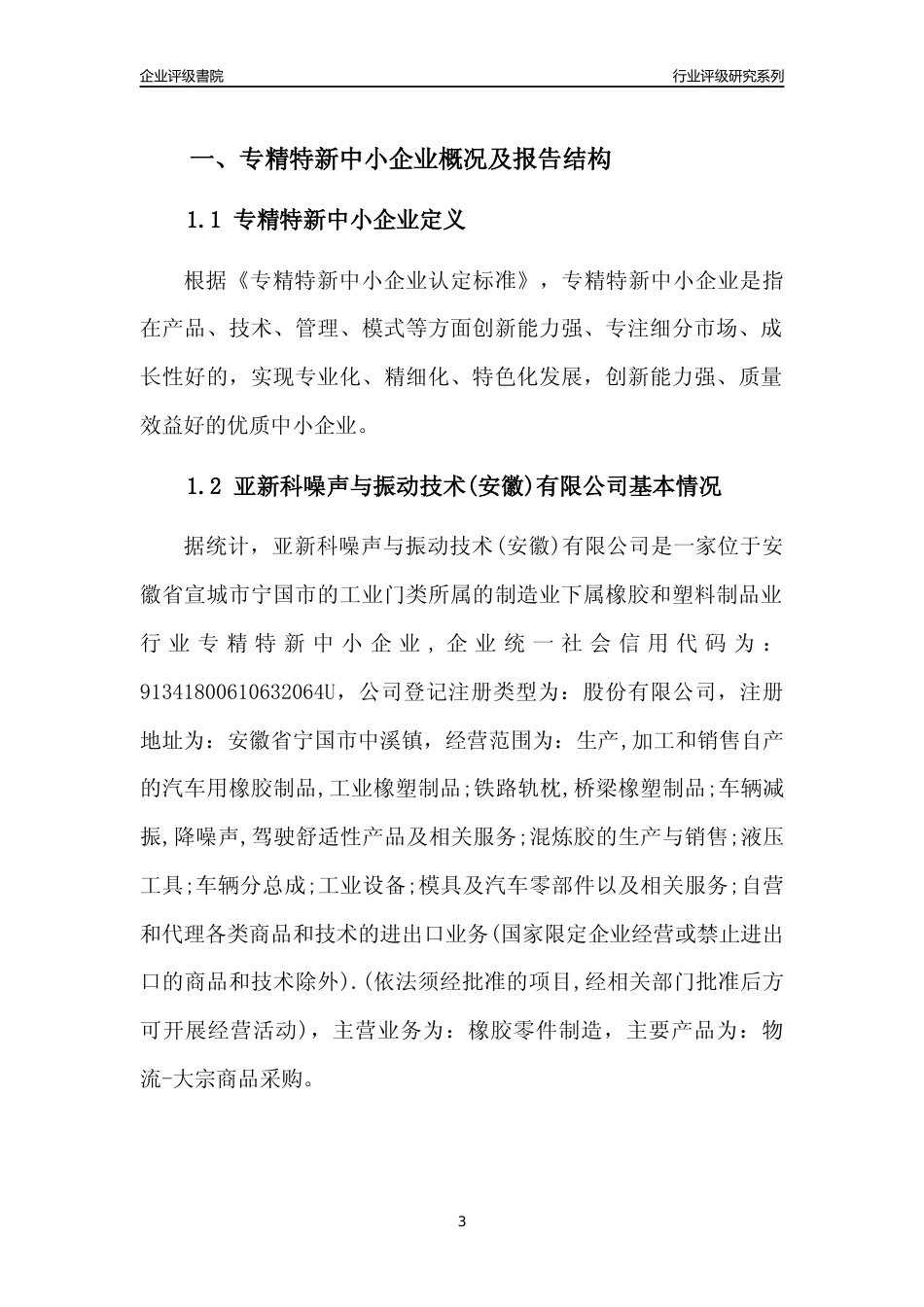[专精特新]亚新科噪声与振动技术(安徽)有限公司行业竞争力评级分析报告(2023版)_第3页