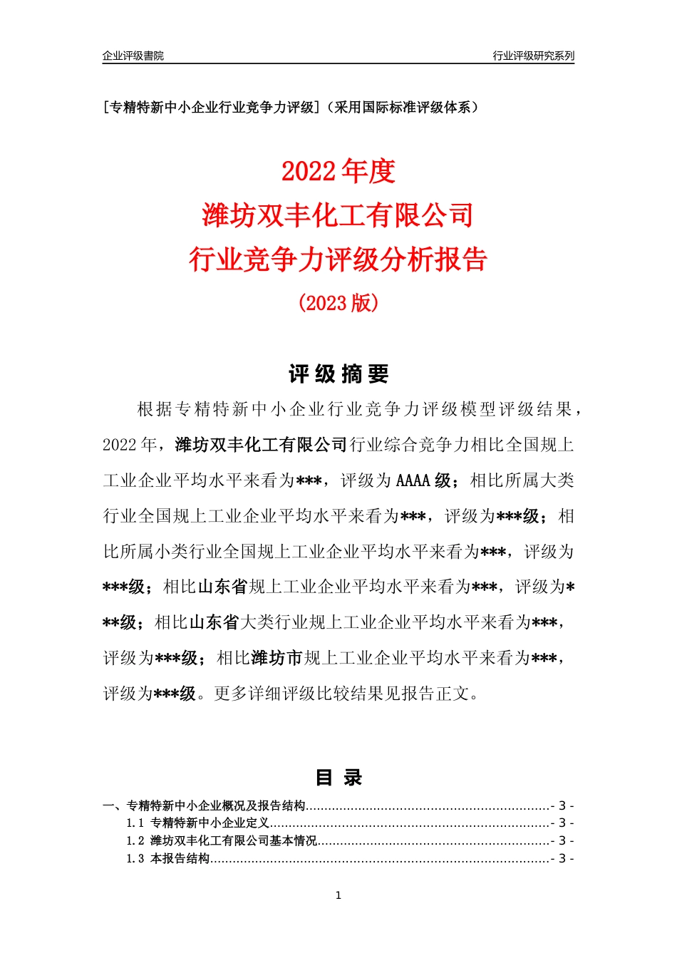[专精特新]2022年潍坊双丰化工有限公司行业竞争力评级分析报告(2023版).docx_第1页