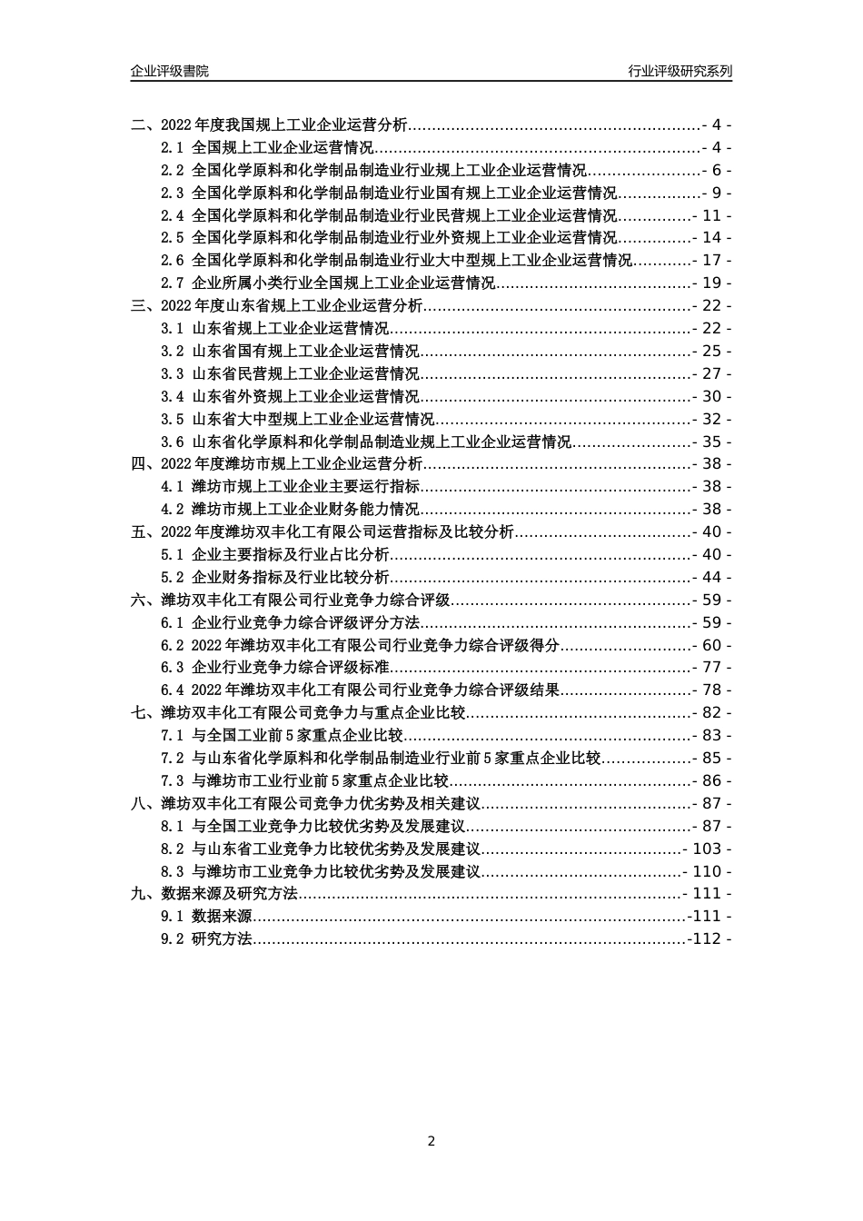[专精特新]2022年潍坊双丰化工有限公司行业竞争力评级分析报告(2023版).docx_第2页