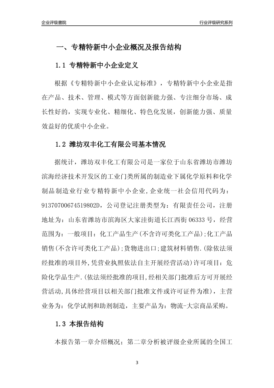 [专精特新]2022年潍坊双丰化工有限公司行业竞争力评级分析报告(2023版).docx_第3页