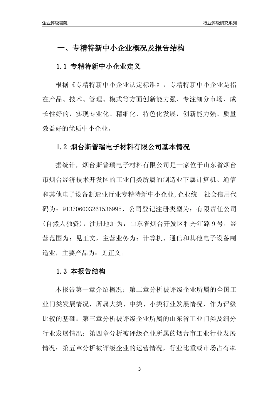 [专精特新]2022年烟台斯普瑞电子材料有限公司行业竞争力评级分析报告(2023版).docx_第3页