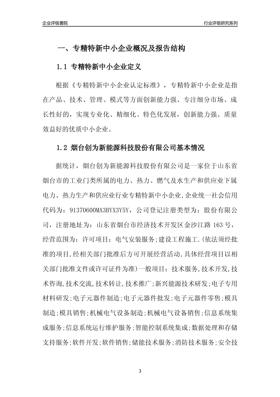 [专精特新]2022年烟台创为新能源科技股份有限公司行业竞争力评级分析报告(2023版).docx_第3页