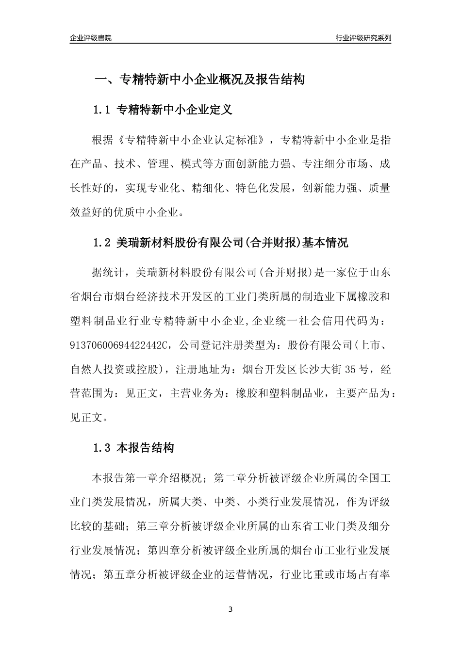 [专精特新]2022年美瑞新材料股份有限公司(合并财报)行业竞争力评级分析报告(2023版).docx_第3页