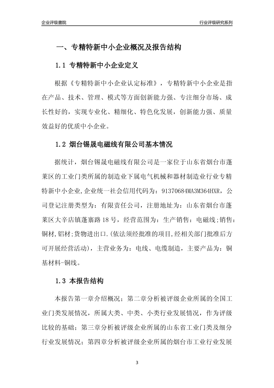 [专精特新]2022年烟台锡晟电磁线有限公司行业竞争力评级分析报告(2023版).docx_第3页