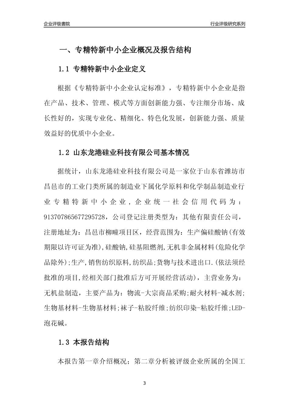 [专精特新]2022年山东龙港硅业科技有限公司行业竞争力评级分析报告(2023版).docx_第3页