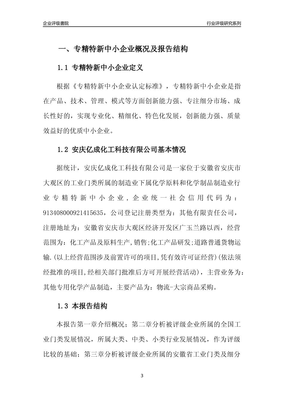 [专精特新]2022年安庆亿成化工科技有限公司行业竞争力评级分析报告(2023版).docx_第3页