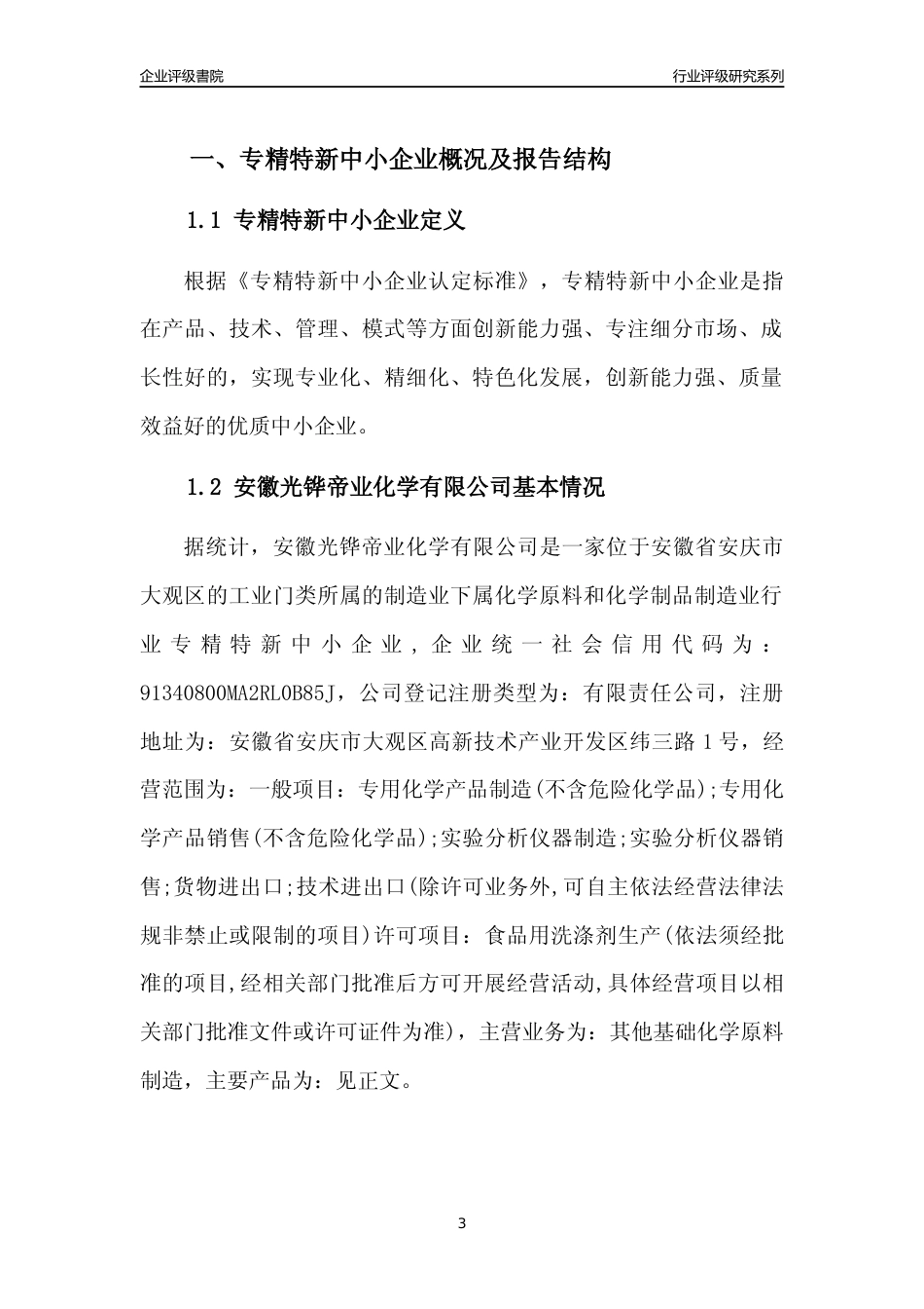 [专精特新]2022年安徽光铧帝业化学有限公司行业竞争力评级分析报告(2023版).docx_第3页