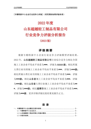 [专精特新]山东超越轻工制品有限公司行业竞争力评级分析报告(2023版).docx