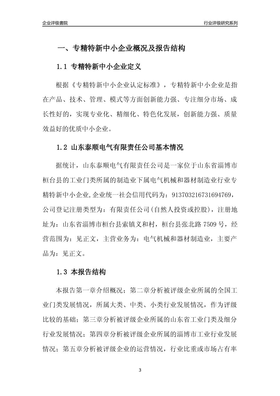 [专精特新]2022年山东泰顺电气有限责任公司行业竞争力评级分析报告(2023版).docx_第3页