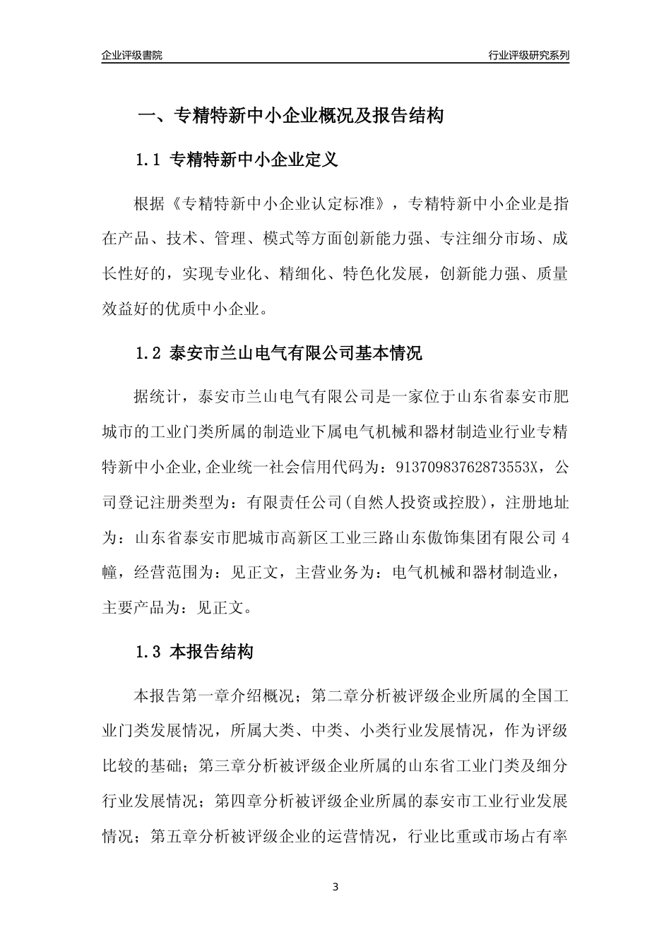 [专精特新]2022年泰安市兰山电气有限公司行业竞争力评级分析报告(2023版)_第3页