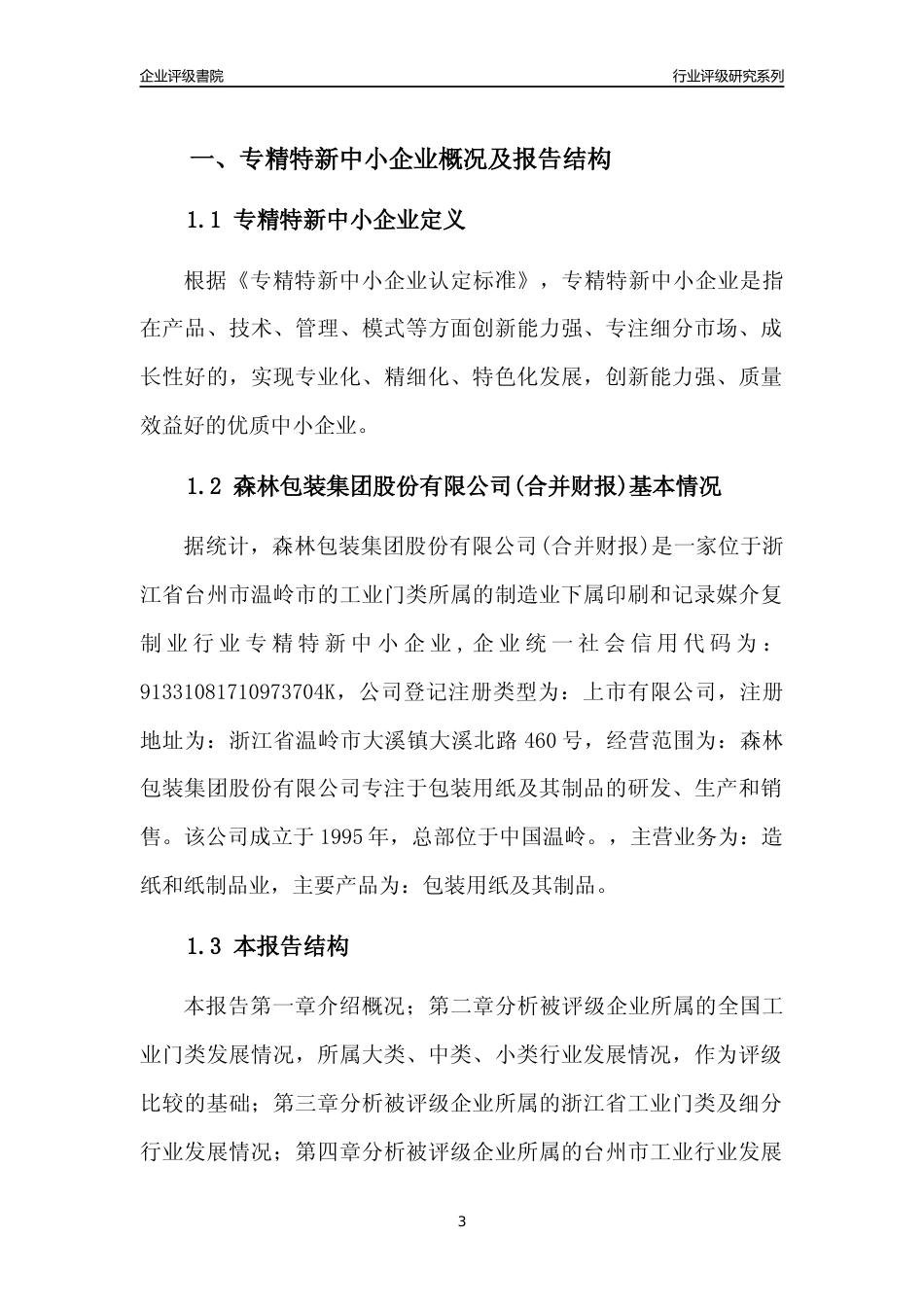[专精特新]2022年森林包装集团股份有限公司(合并财报)行业竞争力评级分析报告(2023版)_第3页